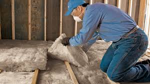 Professional Insulation Services in Pike Creek, DE